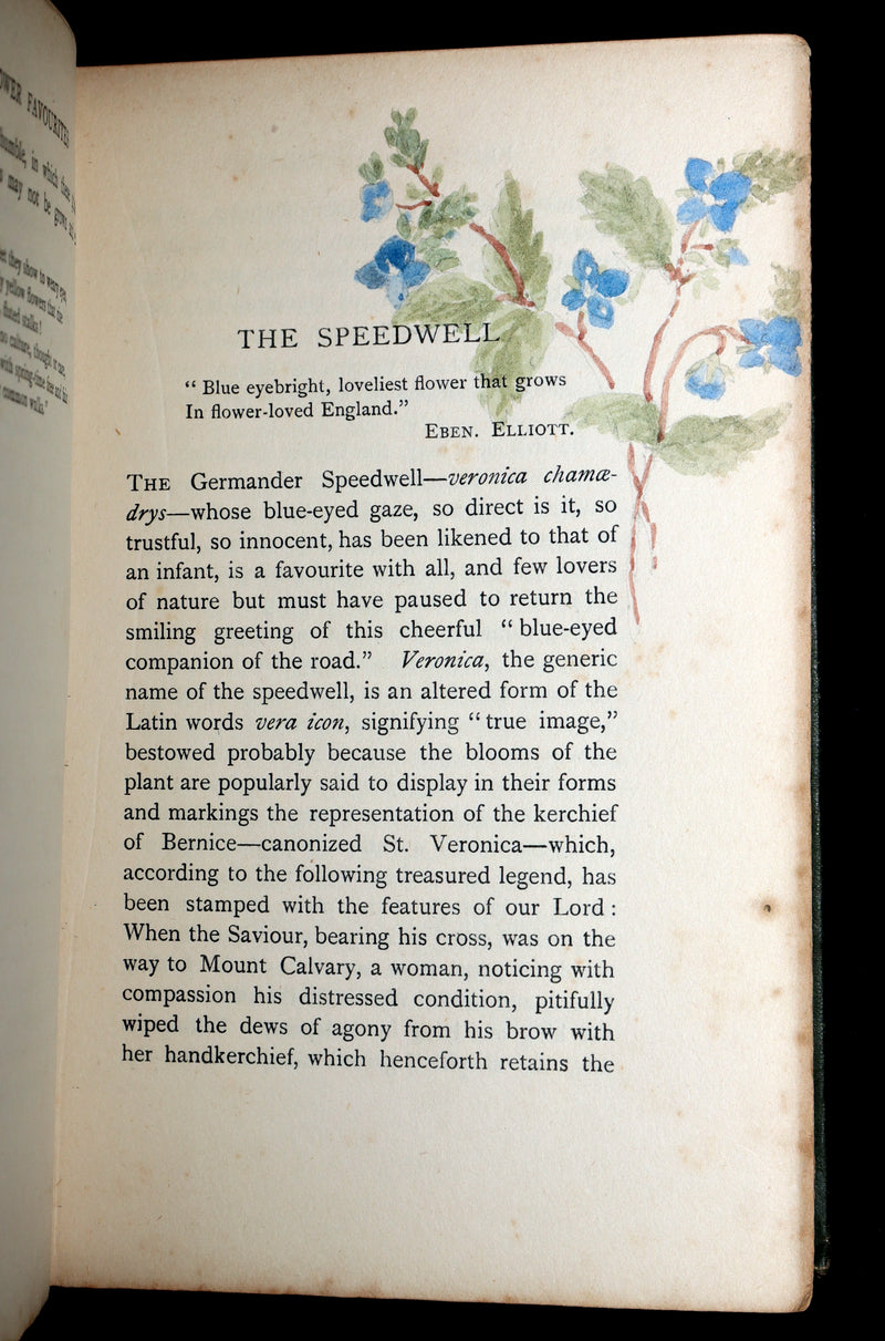 1898 First Edition, Unique Hand-Illuminated - Flower Favourites by Lizzie Deas