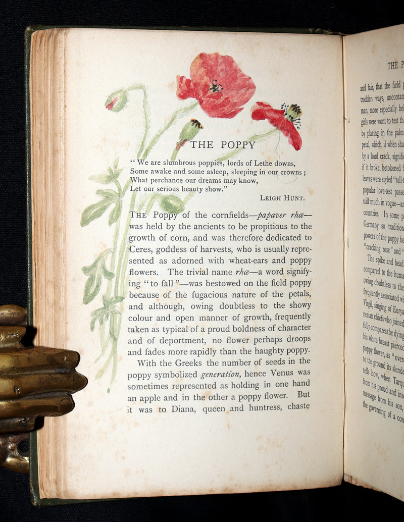 1898 First Edition, Unique Hand-Illuminated - Flower Favourites by Lizzie Deas
