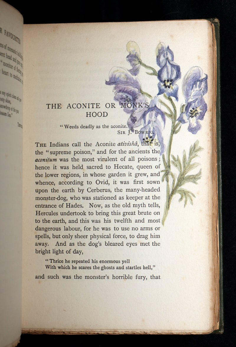 1898 First Edition, Unique Hand-Illuminated - Flower Favourites by Lizzie Deas