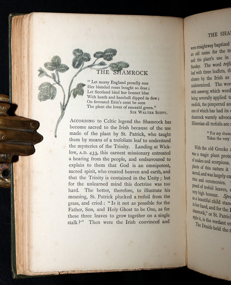 1898 First Edition, Unique Hand-Illuminated - Flower Favourites by Lizzie Deas