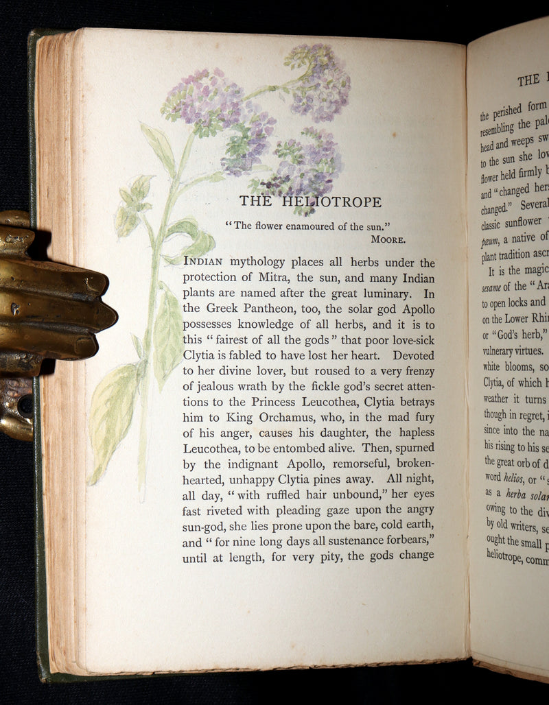 1898 First Edition, Unique Hand-Illuminated - Flower Favourites by Lizzie Deas