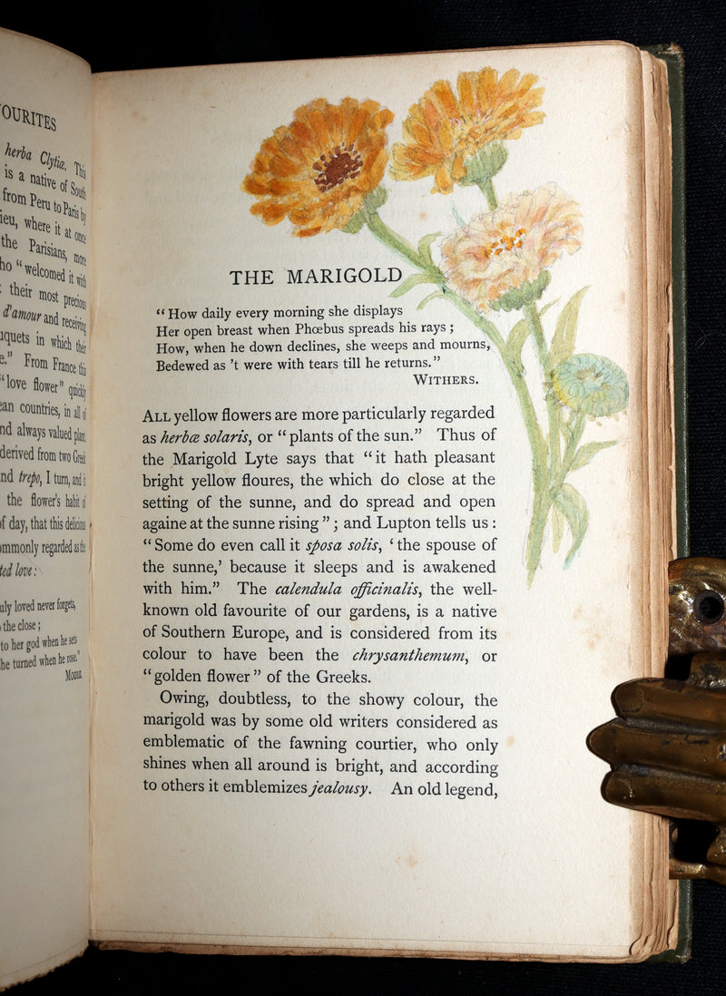 1898 First Edition, Unique Hand-Illuminated - Flower Favourites by Lizzie Deas
