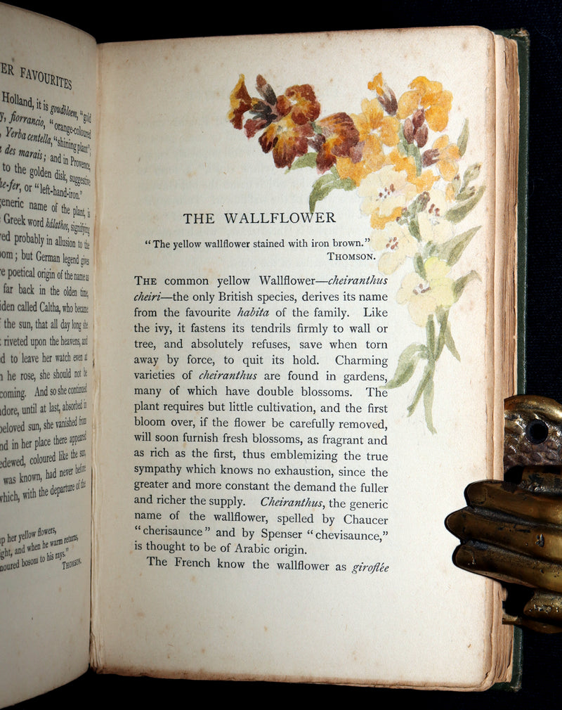1898 First Edition, Unique Hand-Illuminated - Flower Favourites by Lizzie Deas