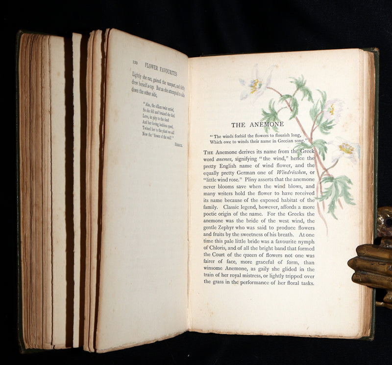 1898 First Edition, Unique Hand-Illuminated - Flower Favourites by Lizzie Deas