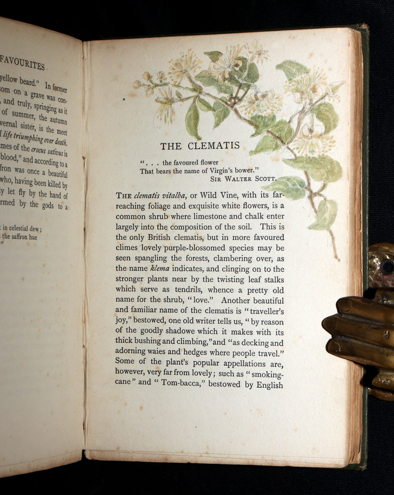 1898 First Edition, Unique Hand-Illuminated - Flower Favourites by Lizzie Deas