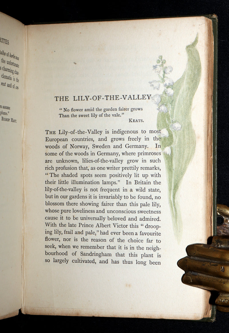 1898 First Edition, Unique Hand-Illuminated - Flower Favourites by Lizzie Deas
