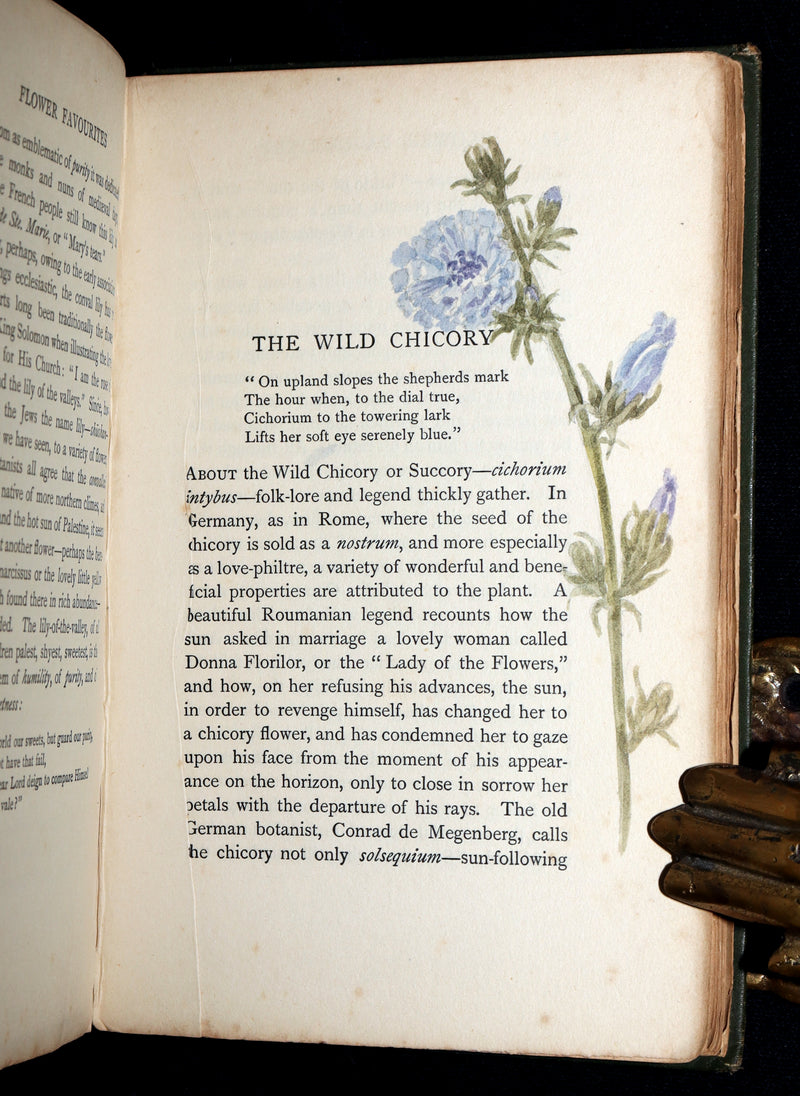 1898 First Edition, Unique Hand-Illuminated - Flower Favourites by Lizzie Deas