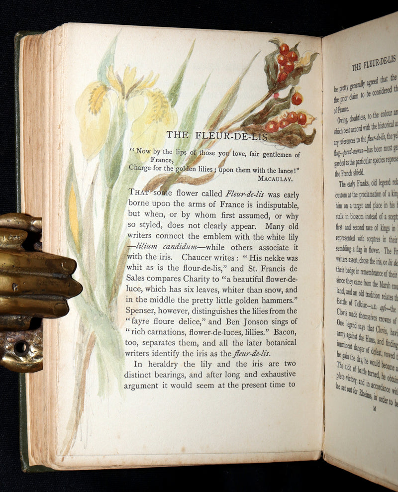 1898 First Edition, Unique Hand-Illuminated - Flower Favourites by Lizzie Deas