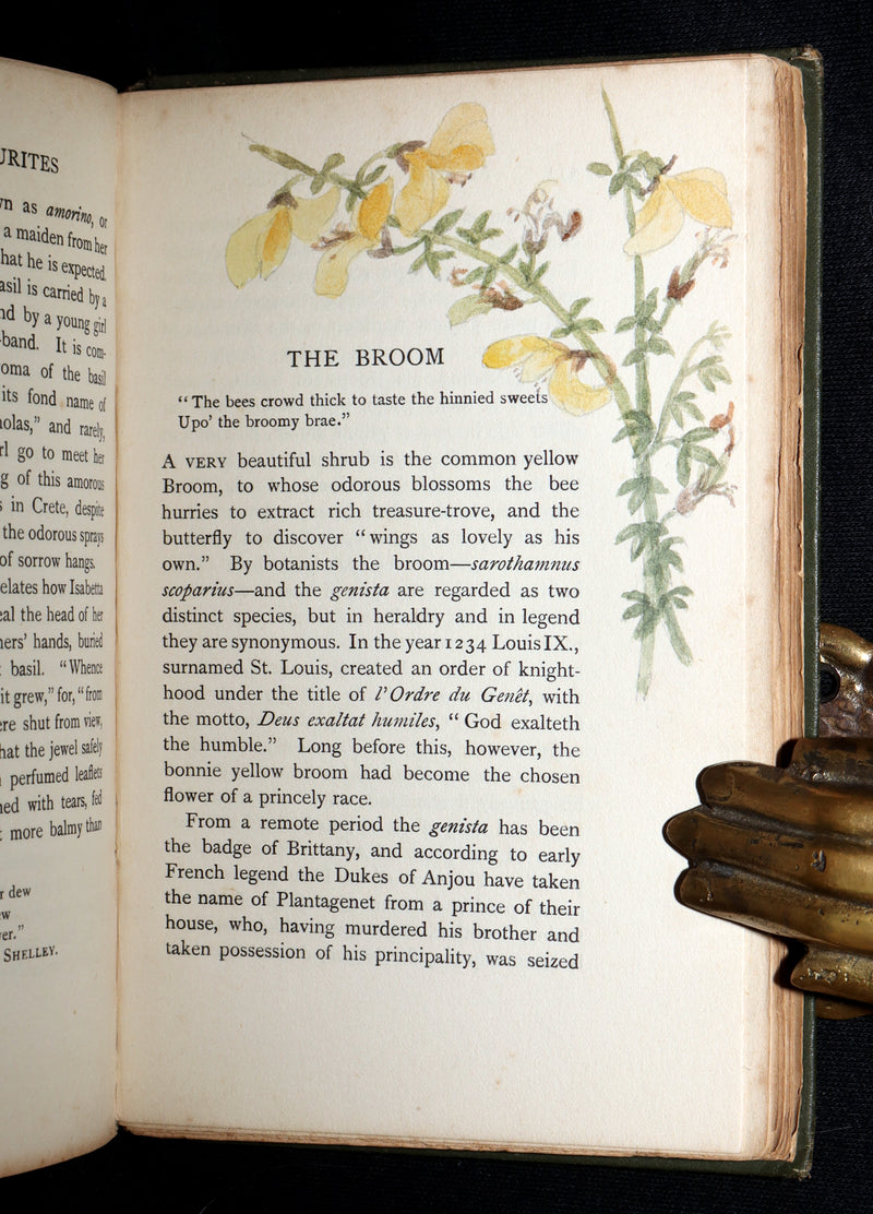 1898 First Edition, Unique Hand-Illuminated - Flower Favourites by Lizzie Deas