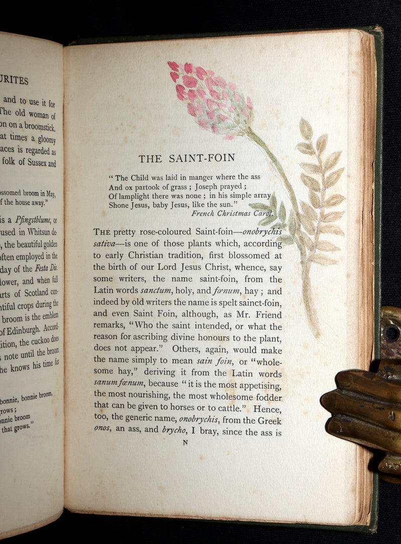 1898 First Edition, Unique Hand-Illuminated - Flower Favourites by Lizzie Deas