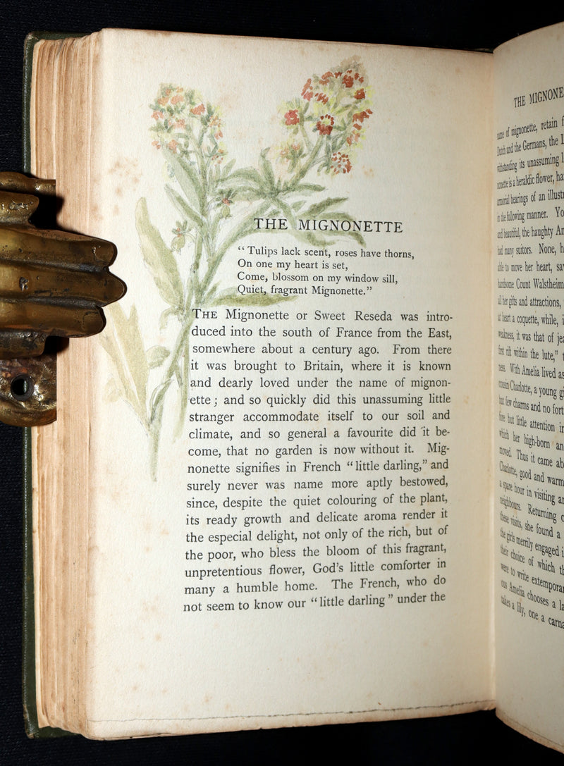 1898 First Edition, Unique Hand-Illuminated - Flower Favourites by Lizzie Deas