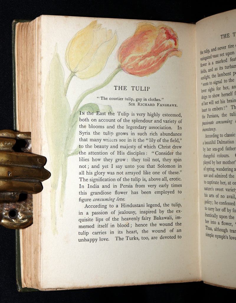 1898 First Edition, Unique Hand-Illuminated - Flower Favourites by Lizzie Deas