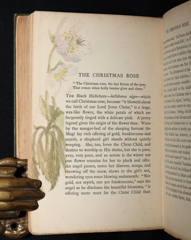 1898 First Edition, Unique Hand-Illuminated - Flower Favourites by Lizzie Deas