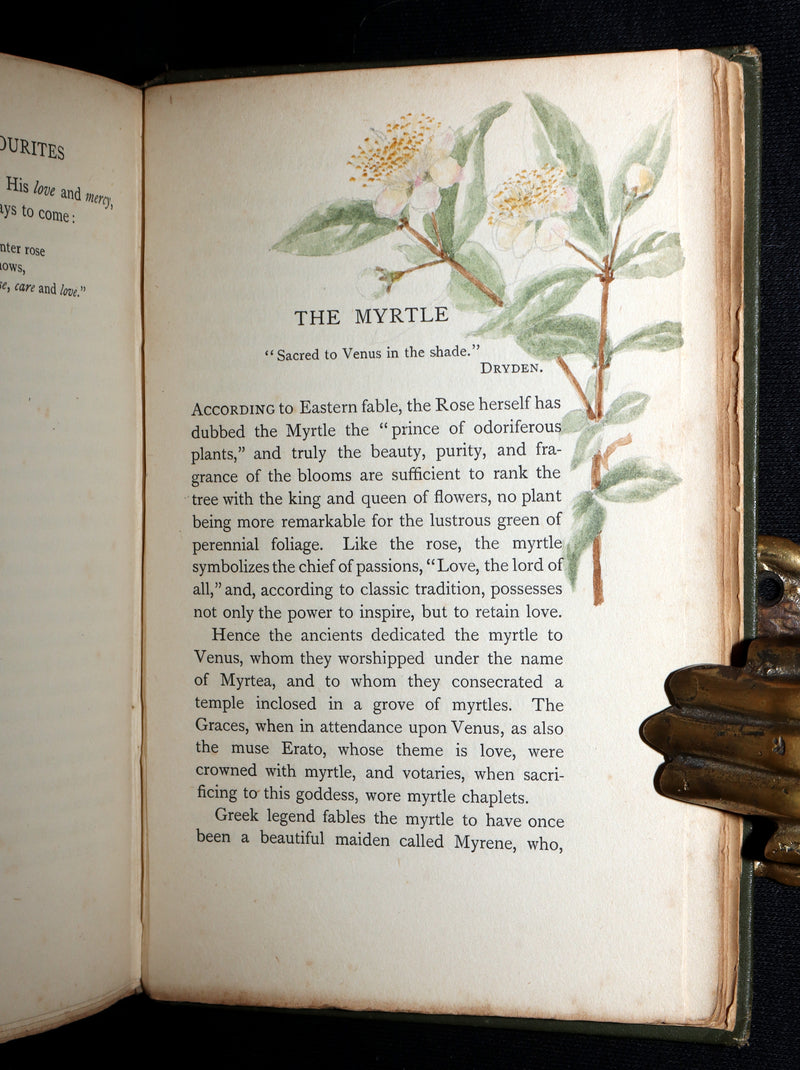 1898 First Edition, Unique Hand-Illuminated - Flower Favourites by Lizzie Deas