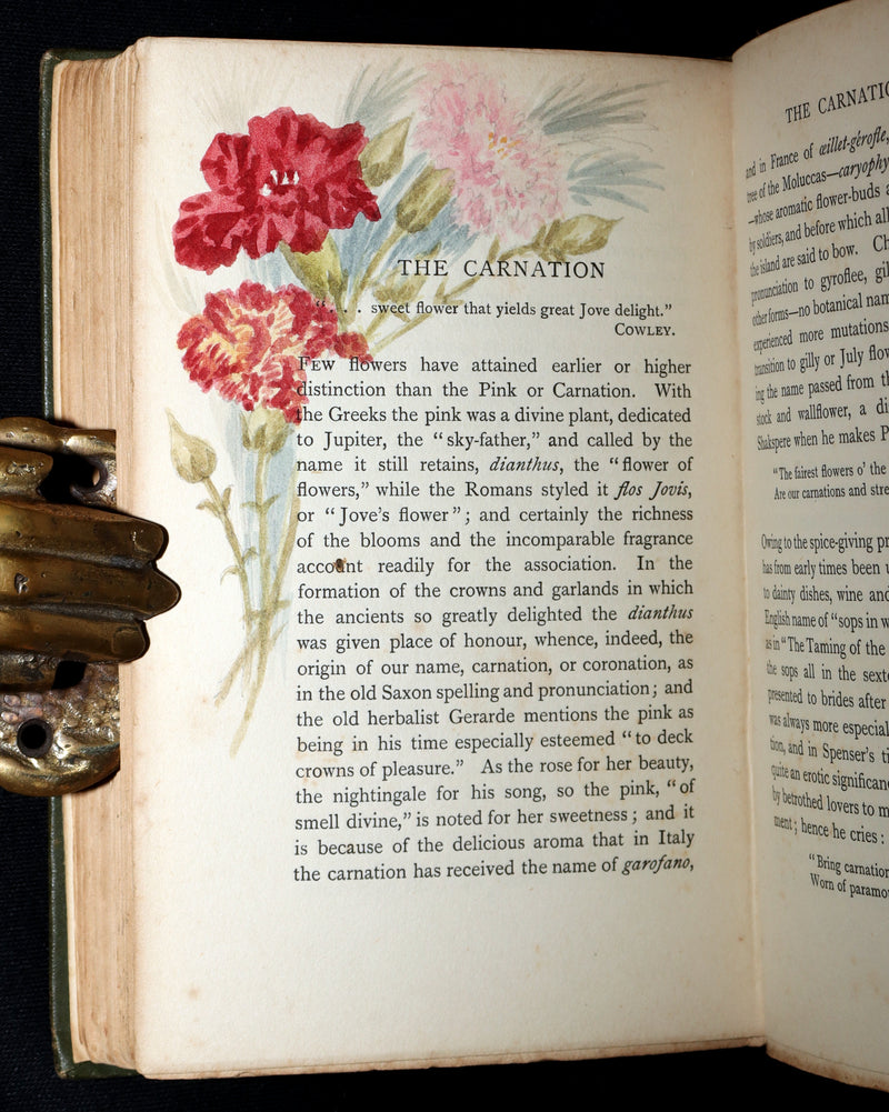 1898 First Edition, Unique Hand-Illuminated - Flower Favourites by Lizzie Deas
