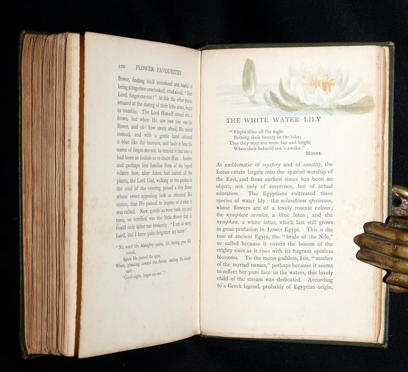 1898 First Edition, Unique Hand-Illuminated - Flower Favourites by Lizzie Deas