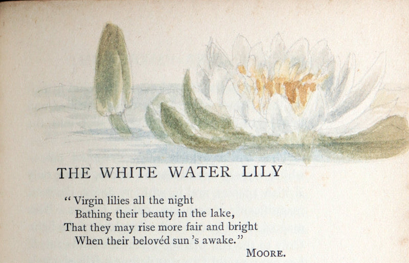 1898 First Edition, Unique Hand-Illuminated - Flower Favourites by Lizzie Deas