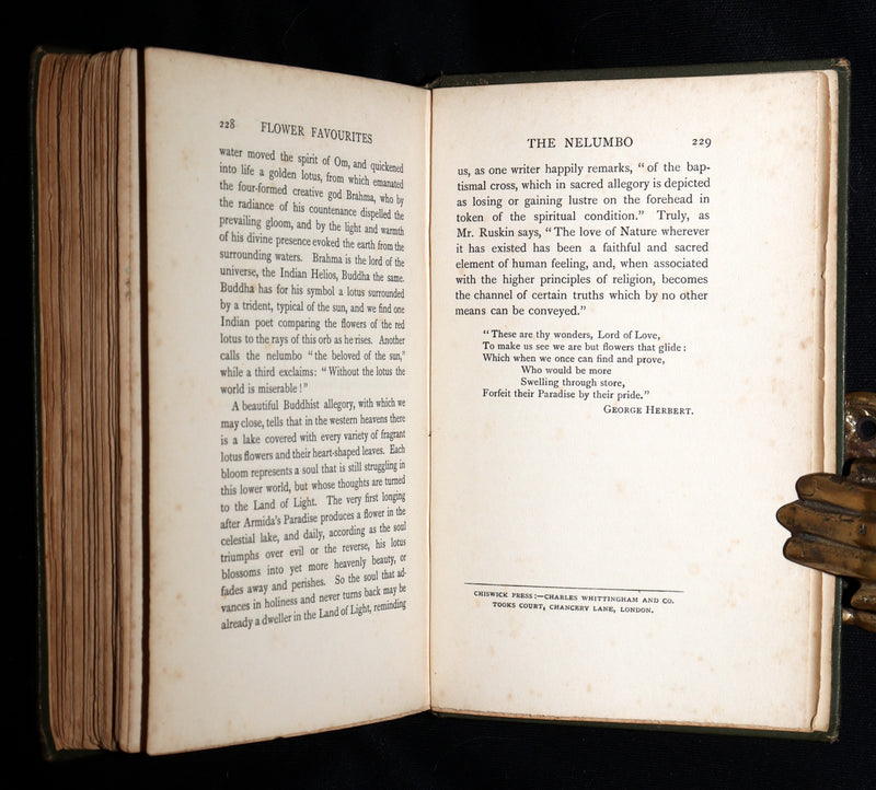 1898 First Edition, Unique Hand-Illuminated - Flower Favourites by Lizzie Deas