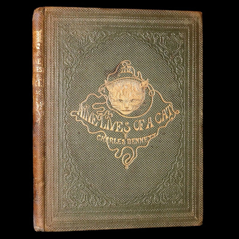 1860 Rare First Edition-The Nine Lives of a Cat, illustrated by Charles Bennett