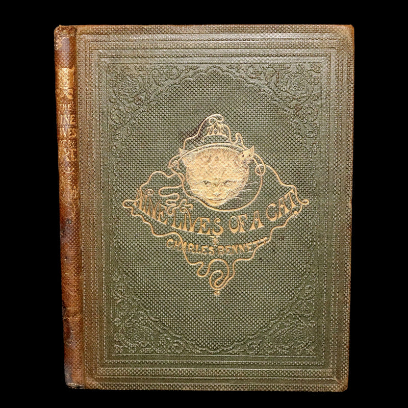 1860 Rare First Edition-The Nine Lives of a Cat, illustrated by Charles Bennett