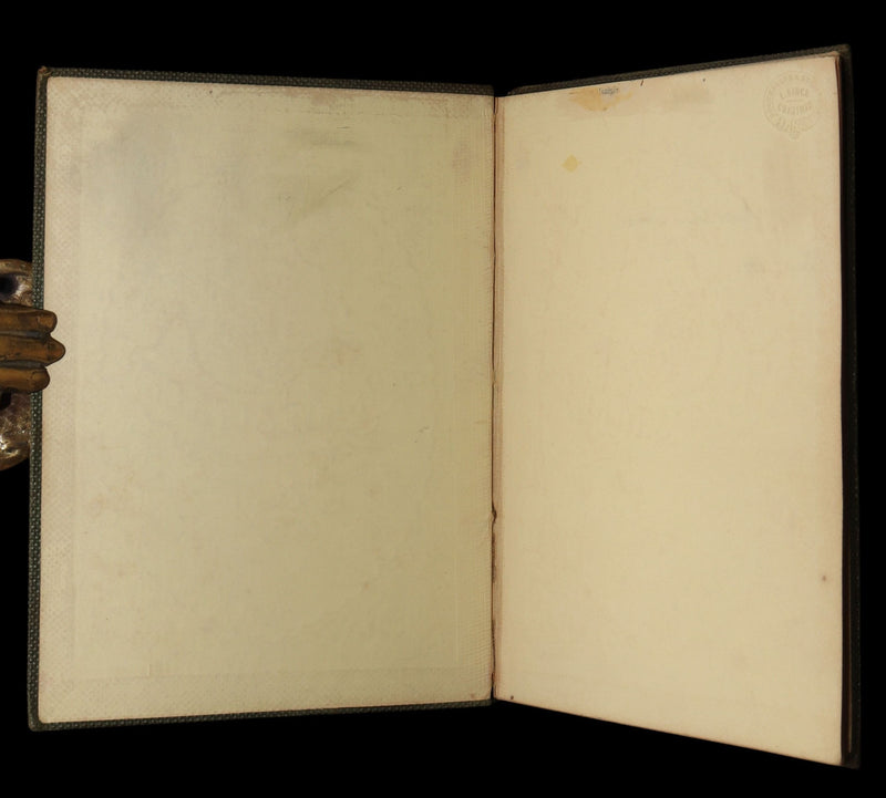 1860 Rare First Edition-The Nine Lives of a Cat, illustrated by Charles Bennett