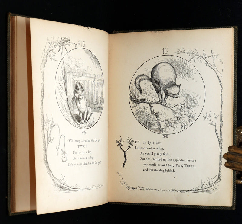 1860 Rare First Edition-The Nine Lives of a Cat, illustrated by Charles Bennett