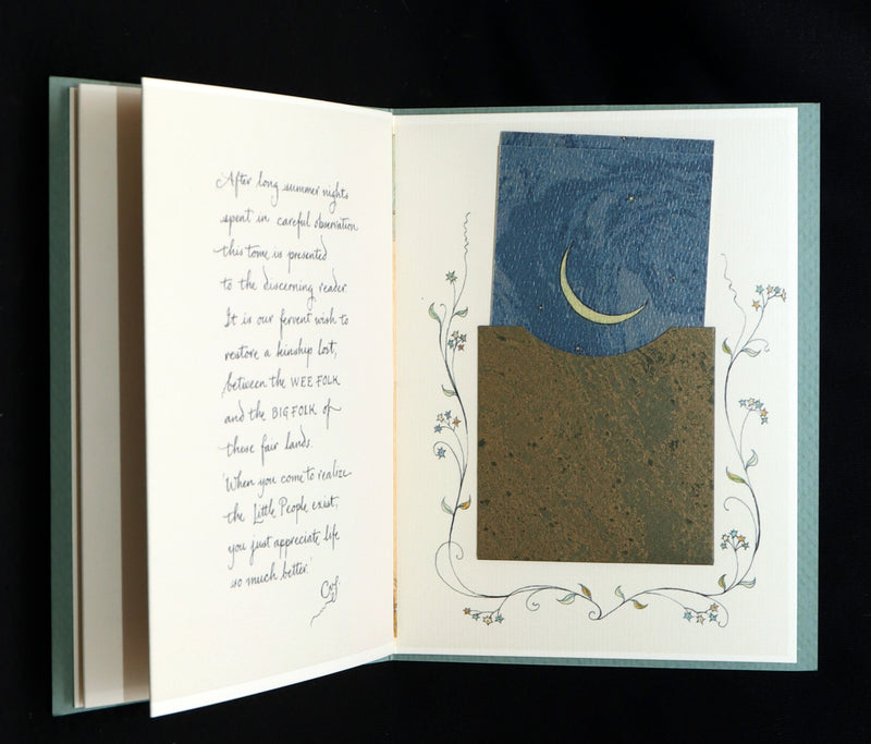 2023 Rare First Edition - Will O' The Wisps, Pictured by Charles van Sandwyk