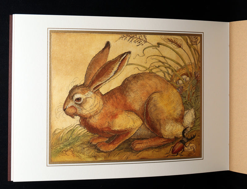 2021 Rare book - Animal Wisdom written and illustrated by Charles van Sandwyk