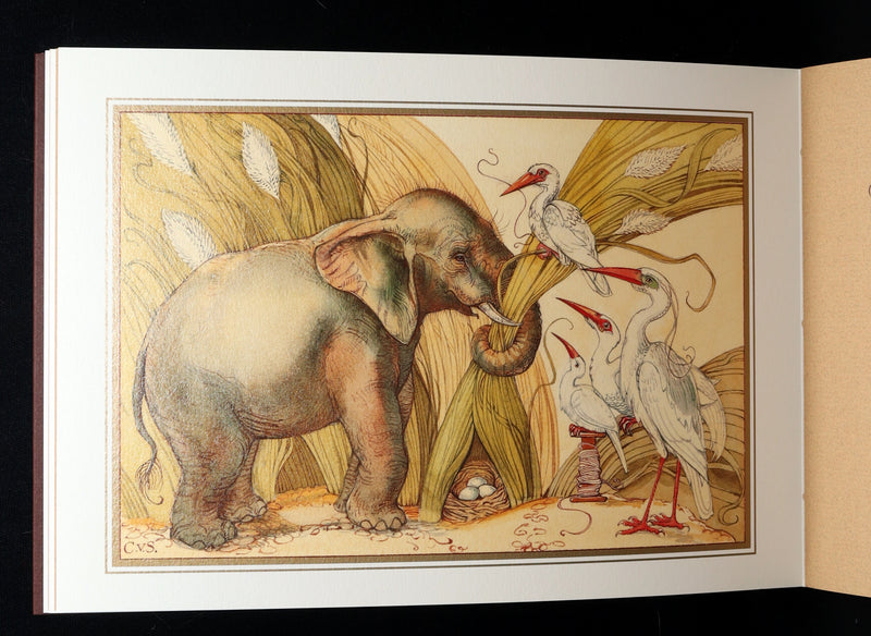 2021 Rare book - Animal Wisdom written and illustrated by Charles van Sandwyk