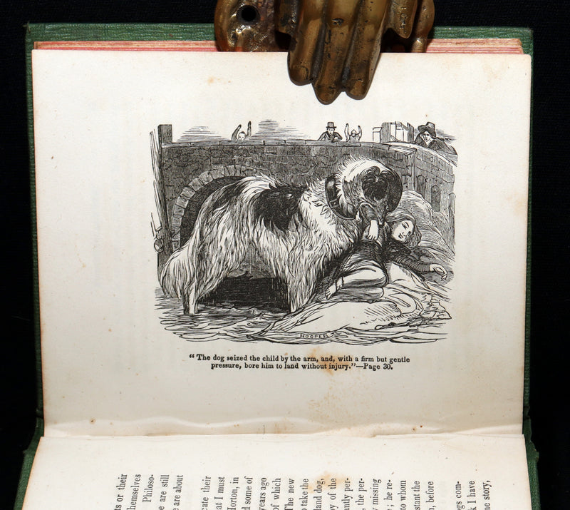 1850 Scarce Book - Stories About Dogs by Thomas Bingley and Thomas Landseer