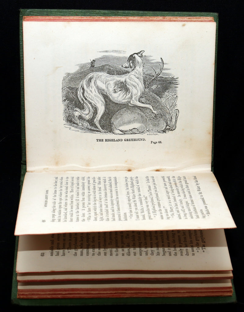 1850 Scarce Book - Stories About Dogs by Thomas Bingley and Thomas Landseer