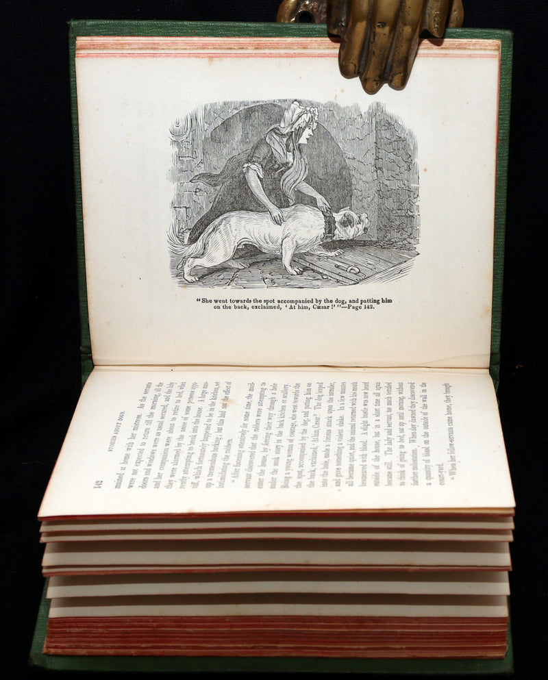 1850 Scarce Book - Stories About Dogs by Thomas Bingley and Thomas Landseer