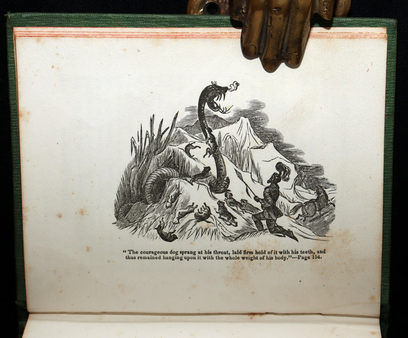 1850 Scarce Book - Stories About Dogs by Thomas Bingley and Thomas Landseer