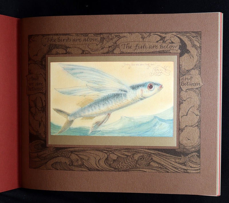 2005 Signed 1stED - Sketches from the Dream Island of Birds, Charles van Sandwyk