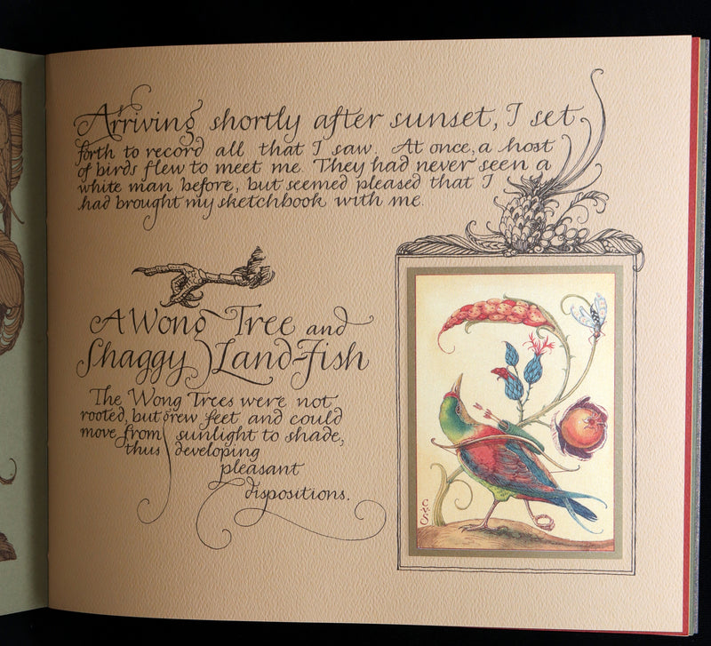 2005 Signed 1stED - Sketches from the Dream Island of Birds, Charles van Sandwyk