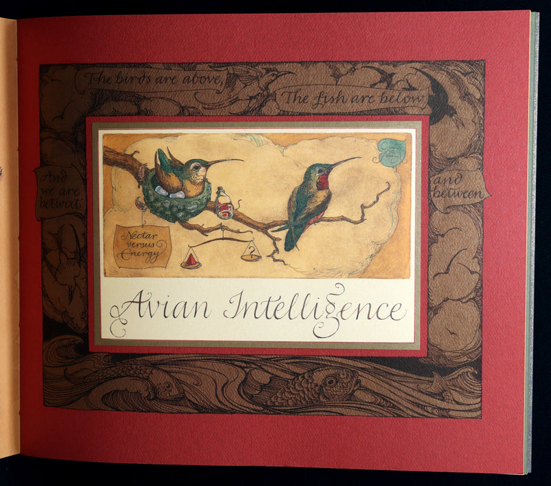 2005 Signed 1stED - Sketches from the Dream Island of Birds, Charles van Sandwyk