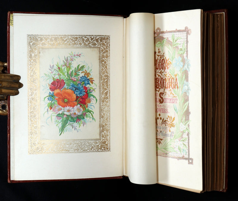 1870 Rare Victorian Floriography Book - Flora Symbolica, The Language of Flowers
