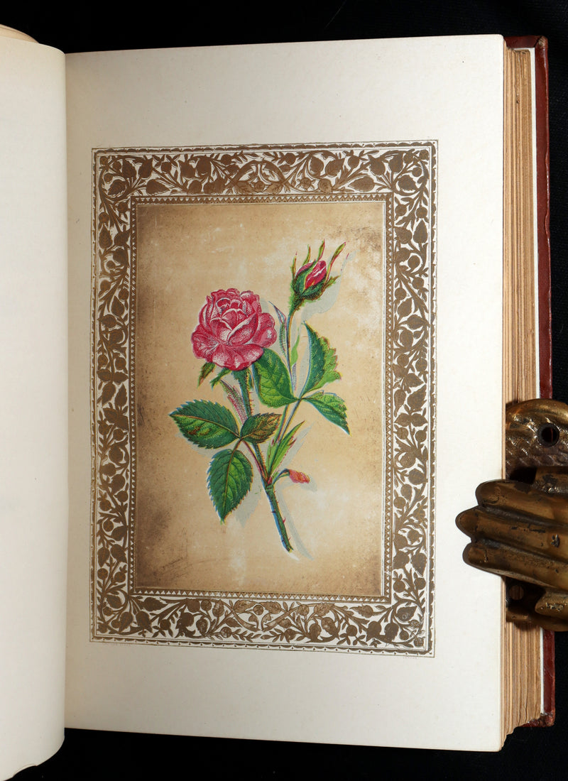 1870 Rare Victorian Floriography Book - Flora Symbolica, The Language of Flowers