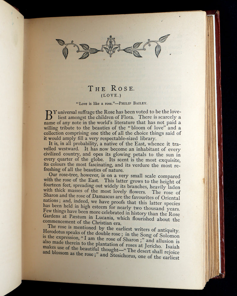 1870 Rare Victorian Floriography Book - Flora Symbolica, The Language of Flowers