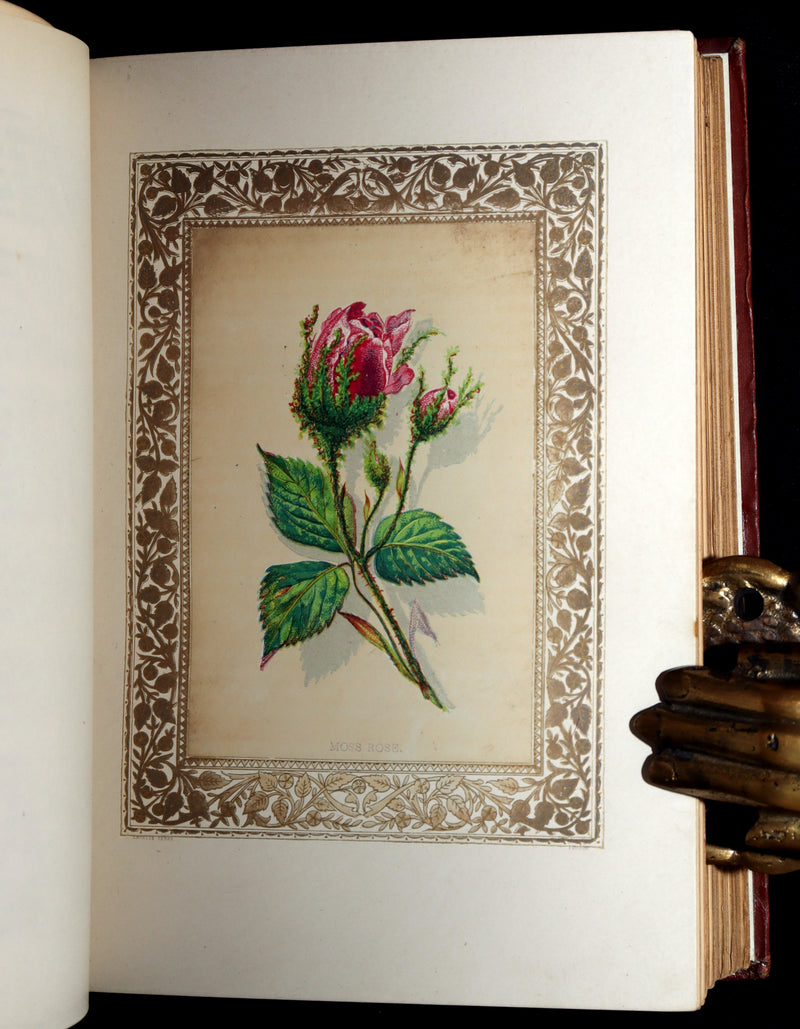 1870 Rare Victorian Floriography Book - Flora Symbolica, The Language of Flowers