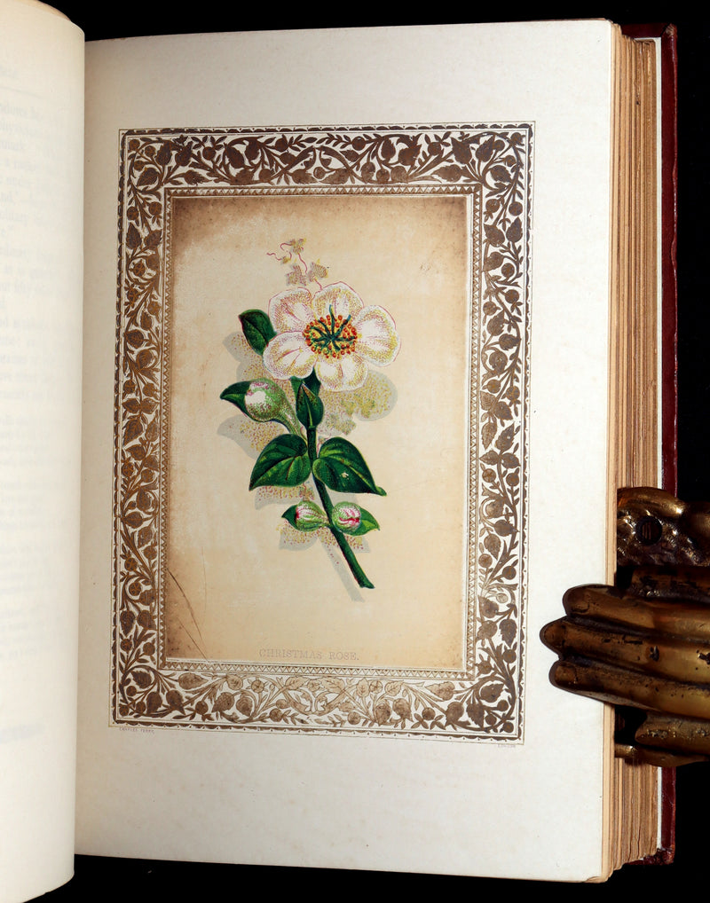 1870 Rare Victorian Floriography Book - Flora Symbolica, The Language of Flowers