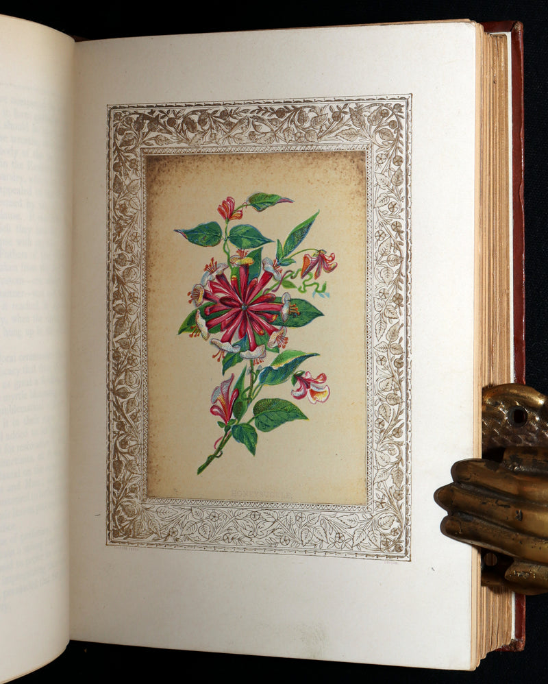 1870 Rare Victorian Floriography Book - Flora Symbolica, The Language of Flowers