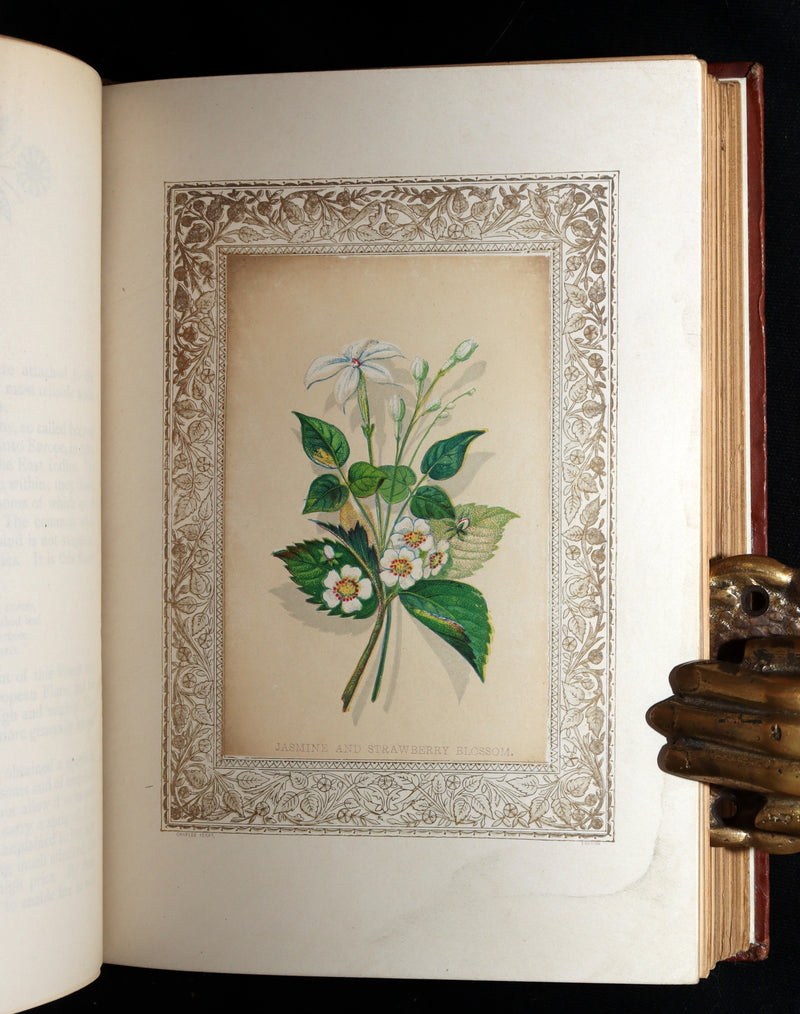 1870 Rare Victorian Floriography Book - Flora Symbolica, The Language of Flowers