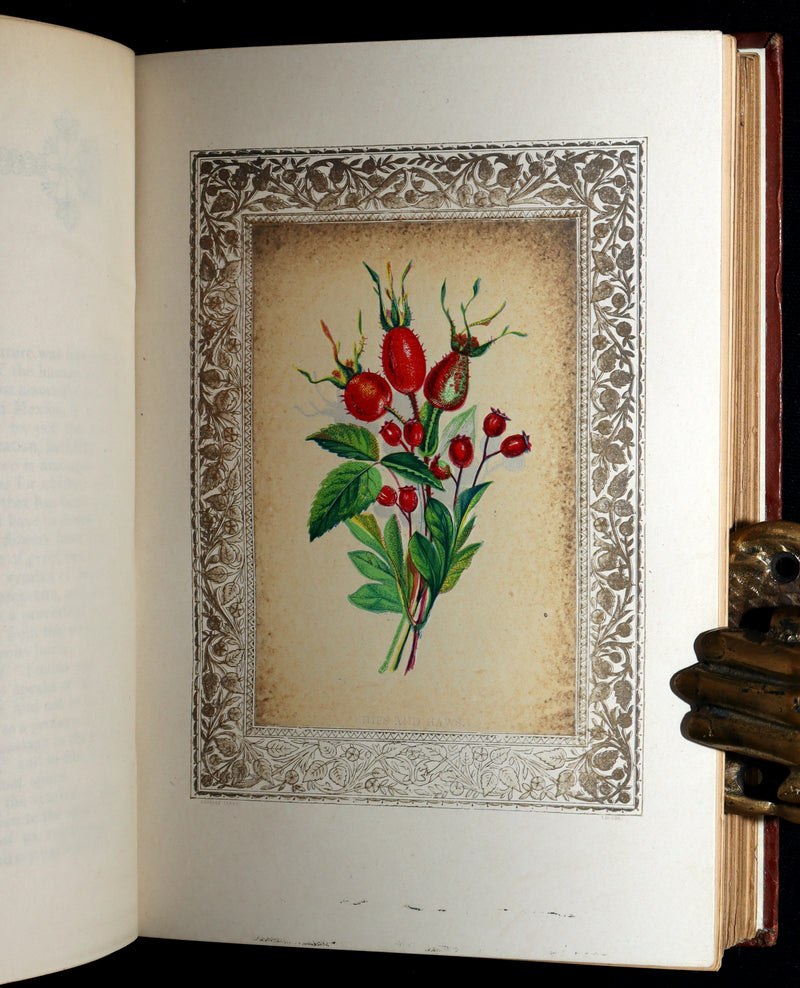 1870 Rare Victorian Floriography Book - Flora Symbolica, The Language of Flowers