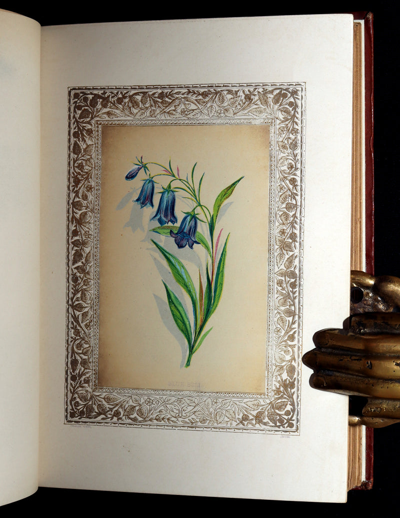 1870 Rare Victorian Floriography Book - Flora Symbolica, The Language of Flowers