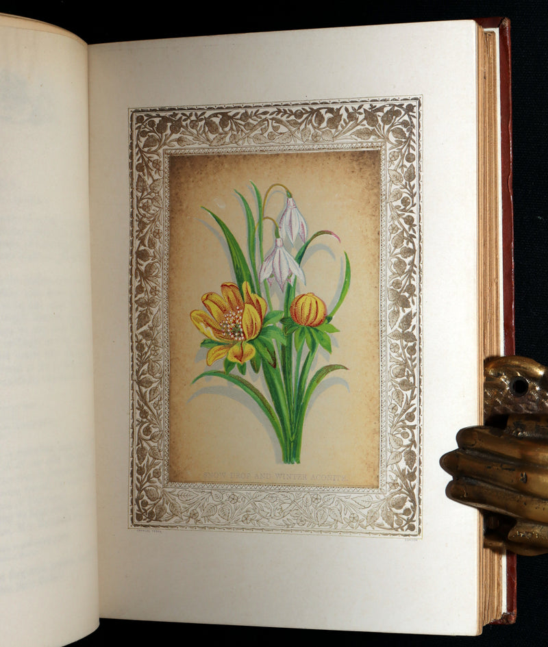 1870 Rare Victorian Floriography Book - Flora Symbolica, The Language of Flowers