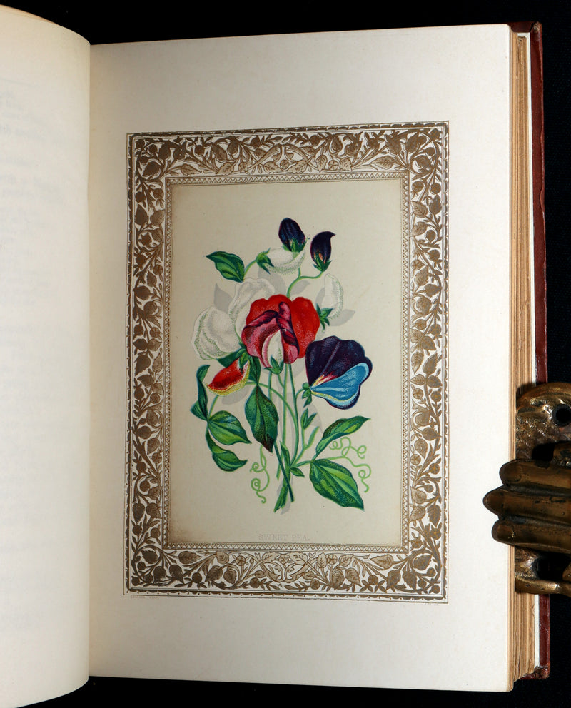 1870 Rare Victorian Floriography Book - Flora Symbolica, The Language of Flowers