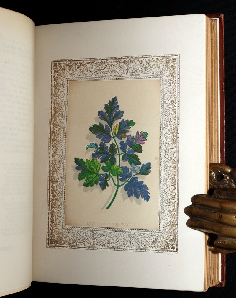 1870 Rare Victorian Floriography Book - Flora Symbolica, The Language of Flowers