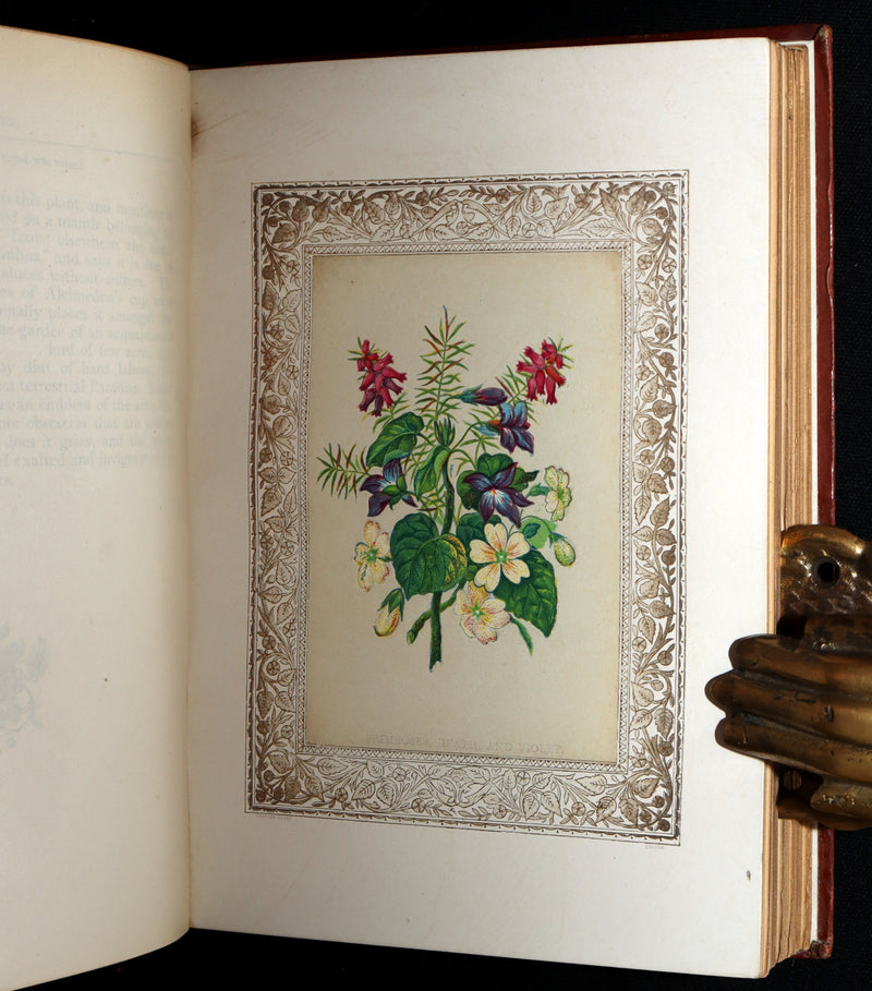 1870 Rare Victorian Floriography Book - Flora Symbolica, The Language of Flowers