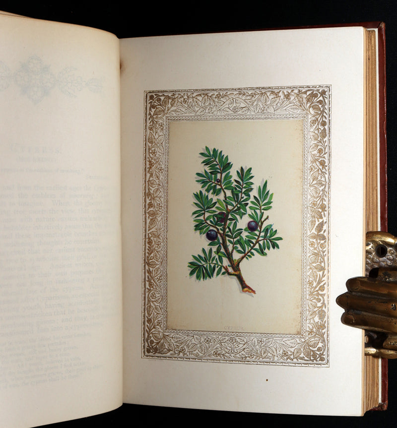 1870 Rare Victorian Floriography Book - Flora Symbolica, The Language of Flowers
